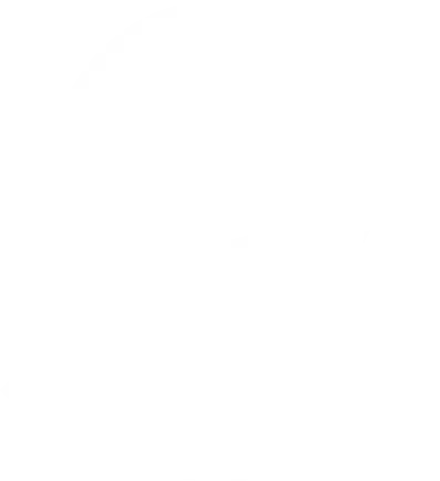 solvira-icon